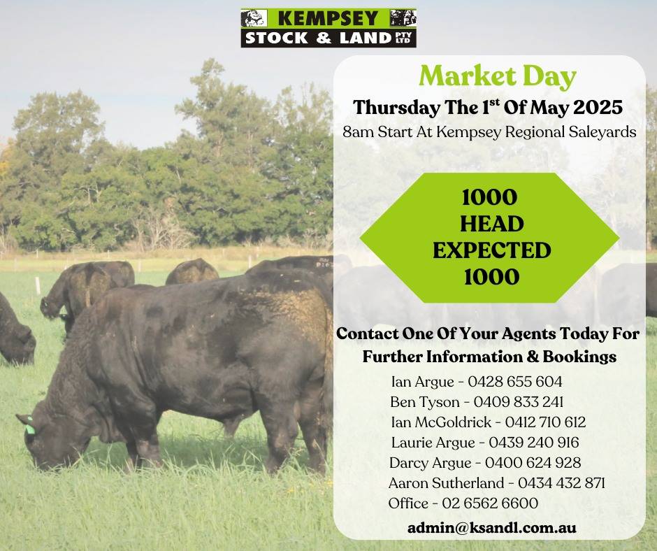 Kempsey Market Day.jpg