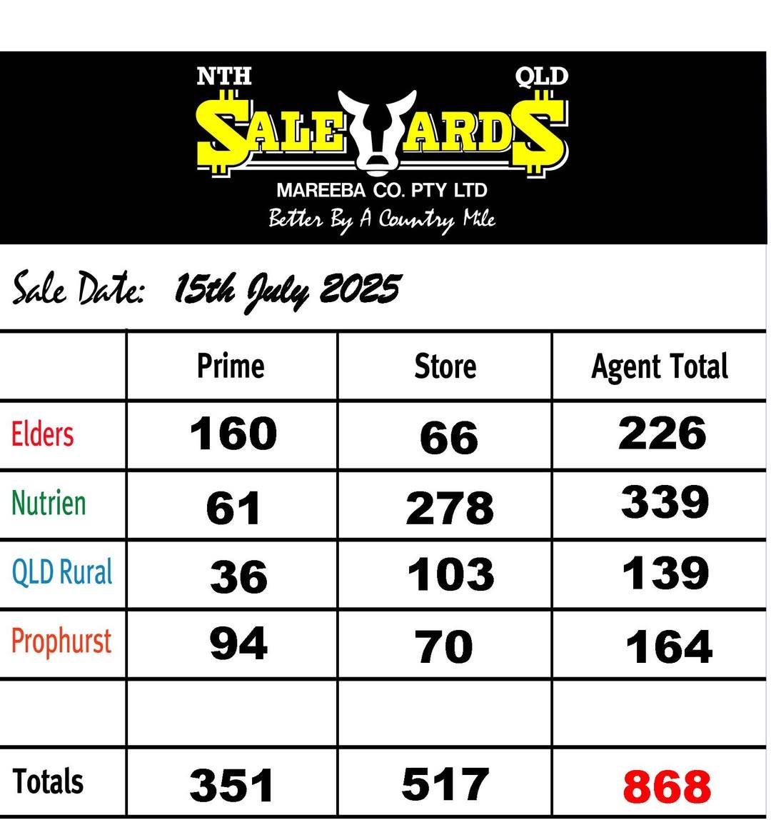Mareeba Cattle Sale.jpg