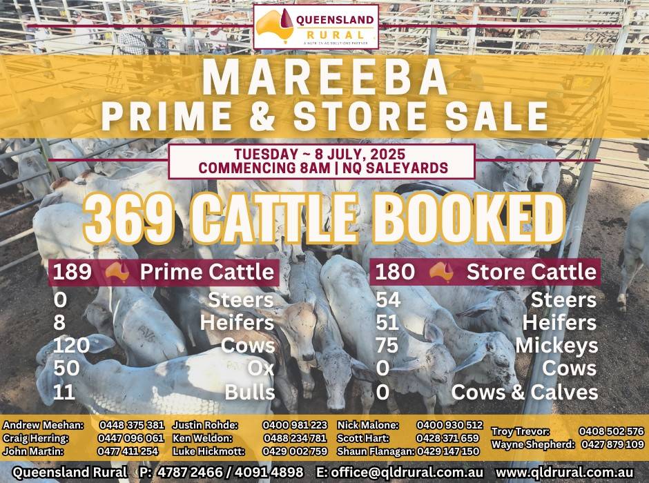 Mareeba Store Cattle Sale.jpg