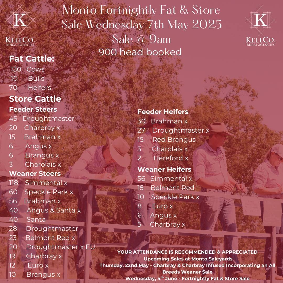 Monto Fortnighlty Fat & Store Sale.jpg