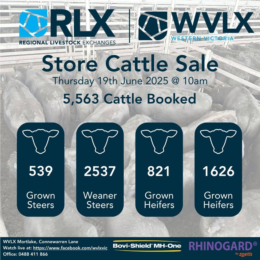 MORTLAKE WVLX Cattle Sale.jpg