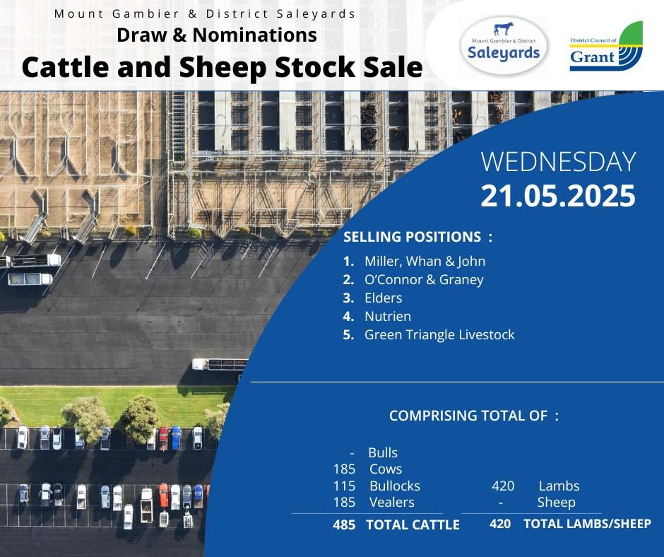 Mount Gambier and District Saleyards Sale Draw for Wednesday.jpg