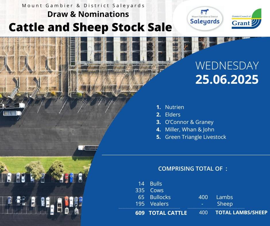 Mount Gambier Cattle and Sheep Sale.jpg