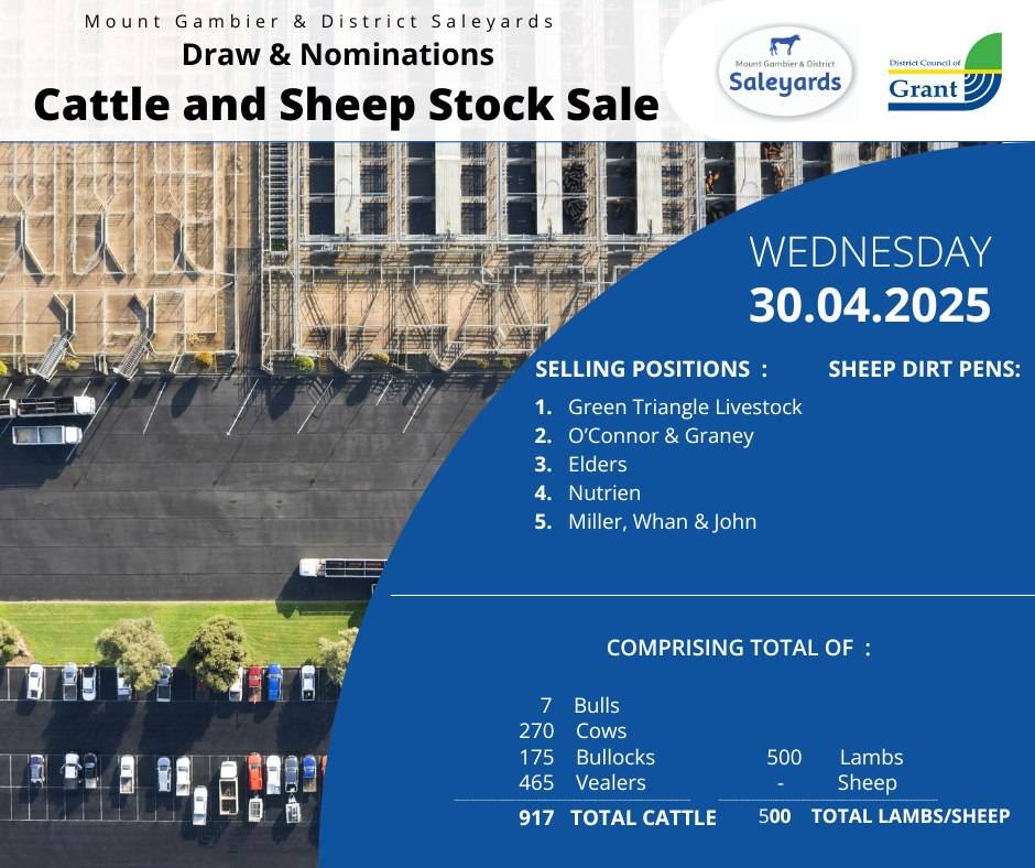 Mount Gambier Cattle and Sheep Sale.jpg