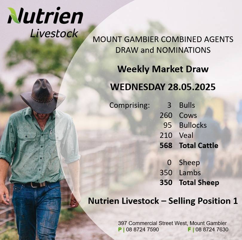 Mount Gambier Combined Cattle & Sheep Sale.jpg