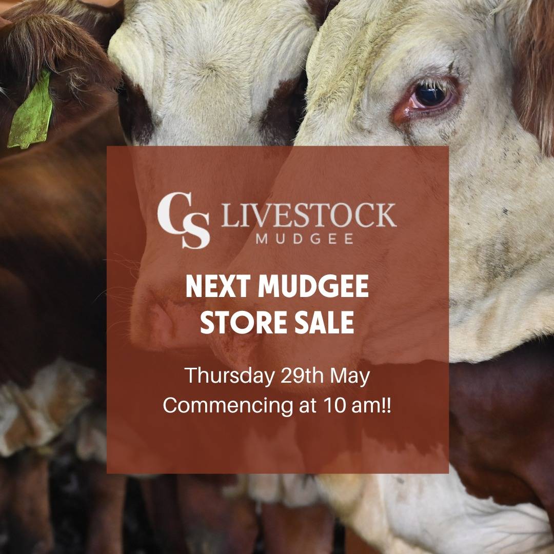 Mudgee Store Sale.jpg