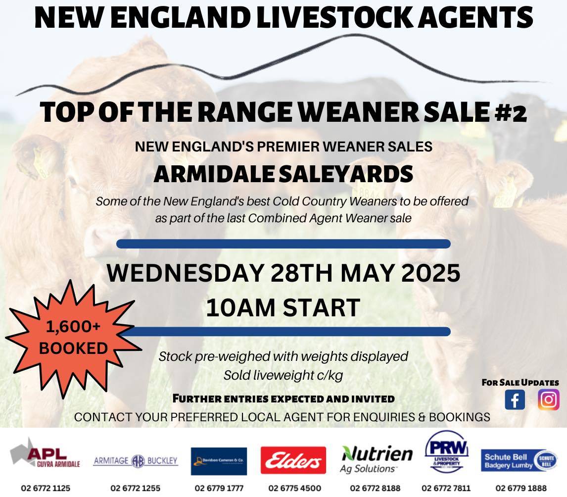 New England Livestock Agents Weaner Sale.jpg
