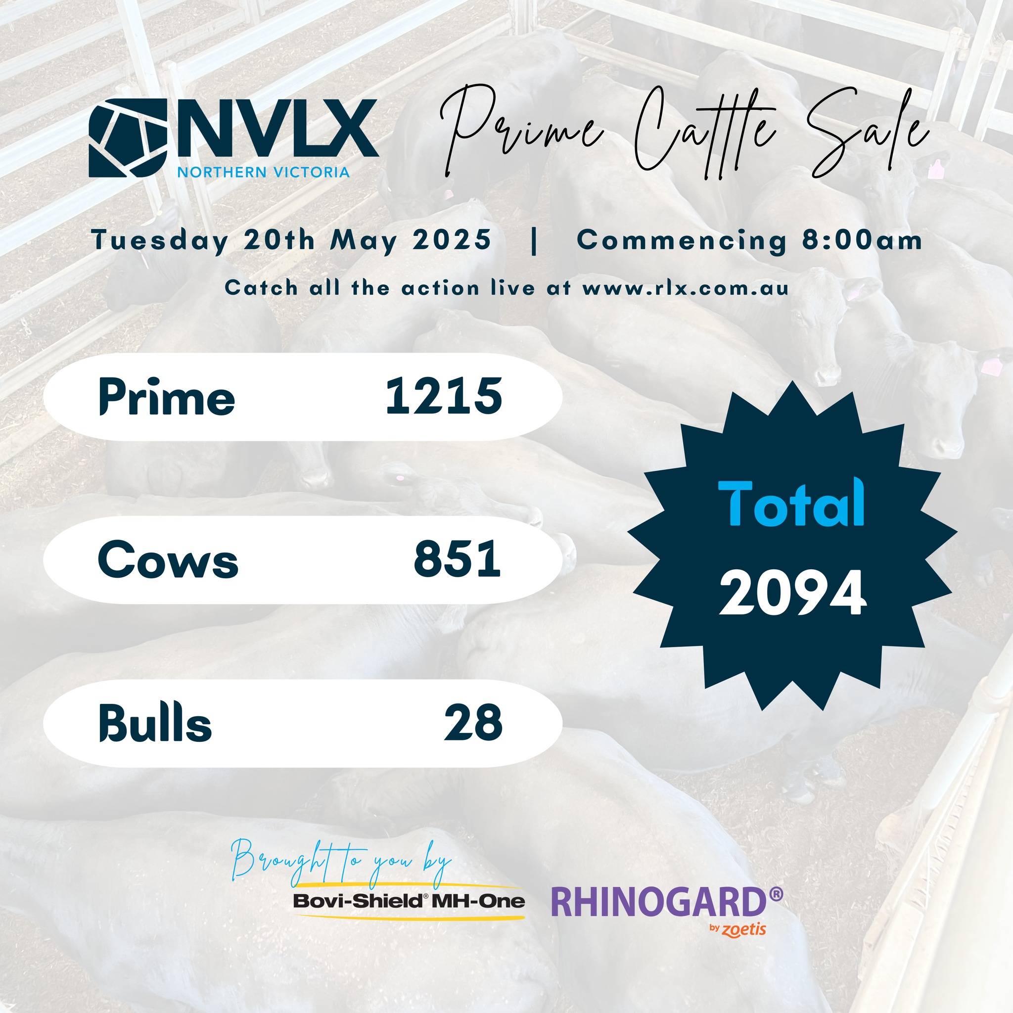NVLX (Barnawartha) Prime Cattle Sale.jpg