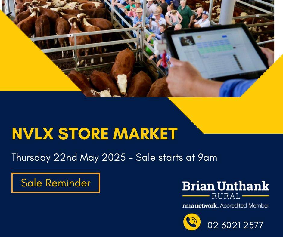 NVLX (Barnawartha) Store Cattle Sale .jpg