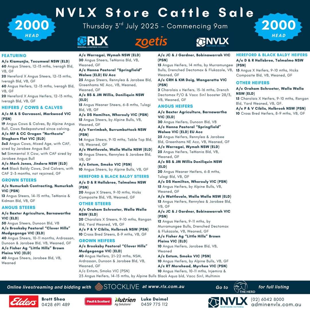 NVLX Store Cattle Sale.jpg