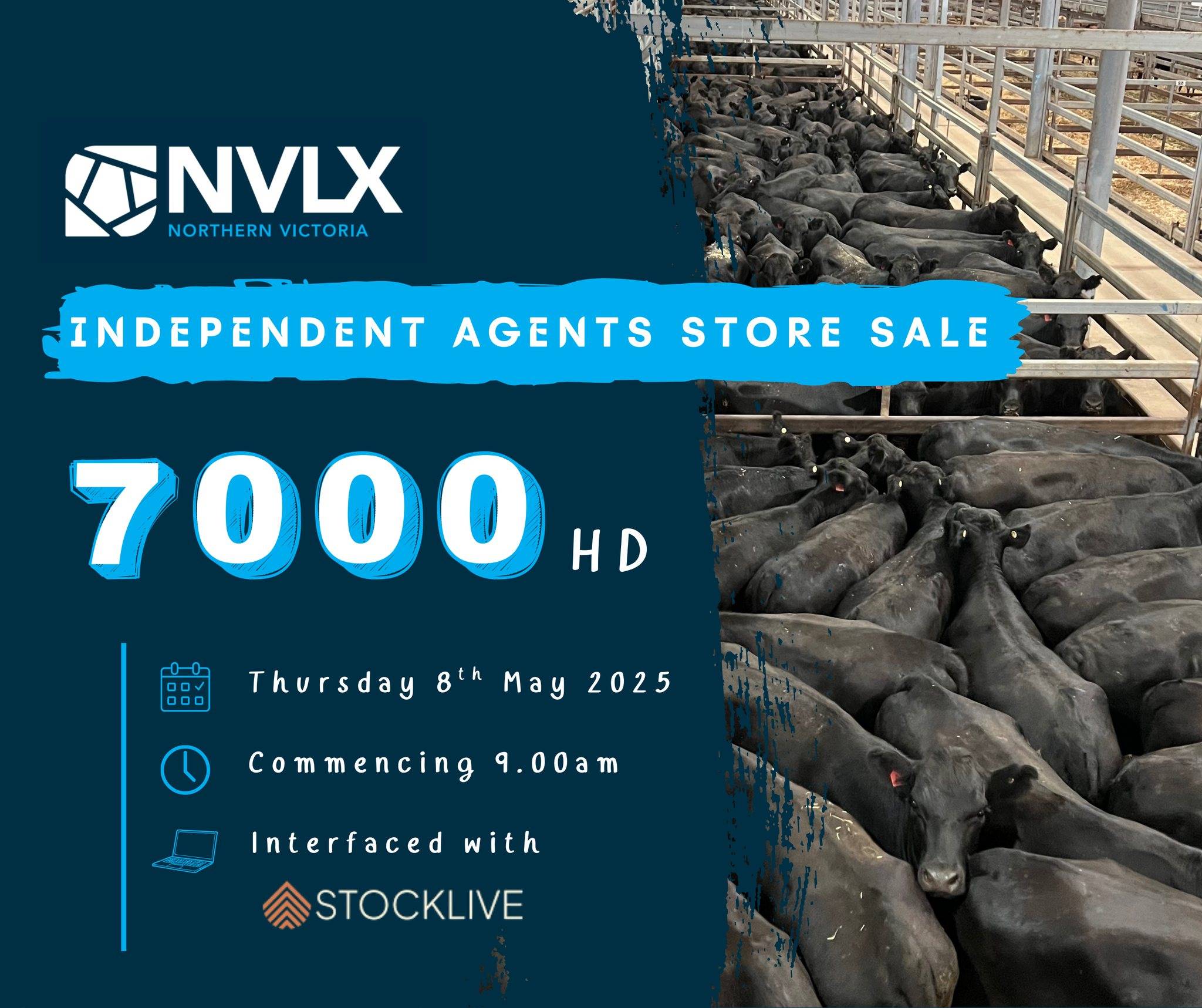 NVLX Store Sale.jpg