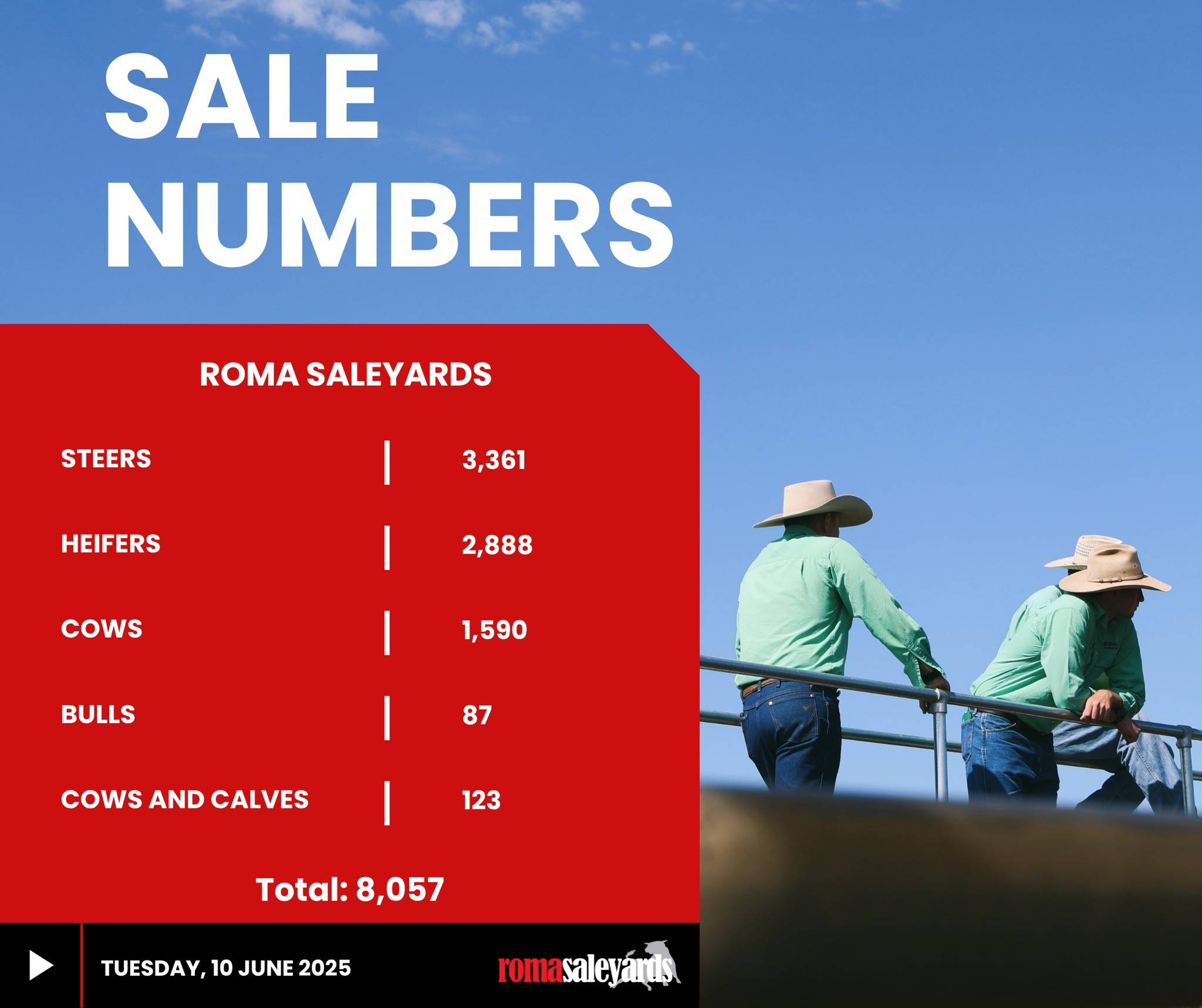 Roma Cattle Sale.jpg