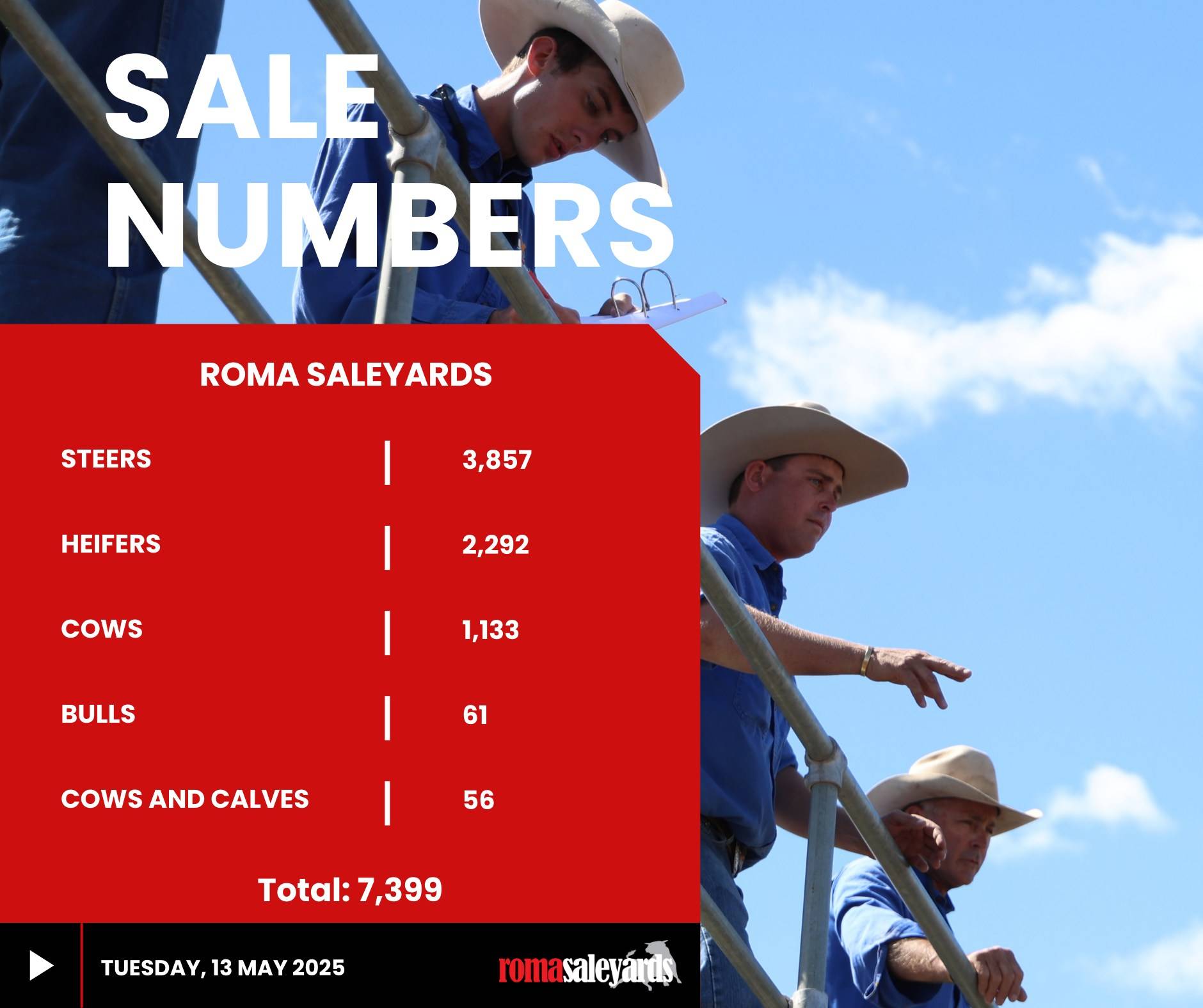 Roma Sale.jpg