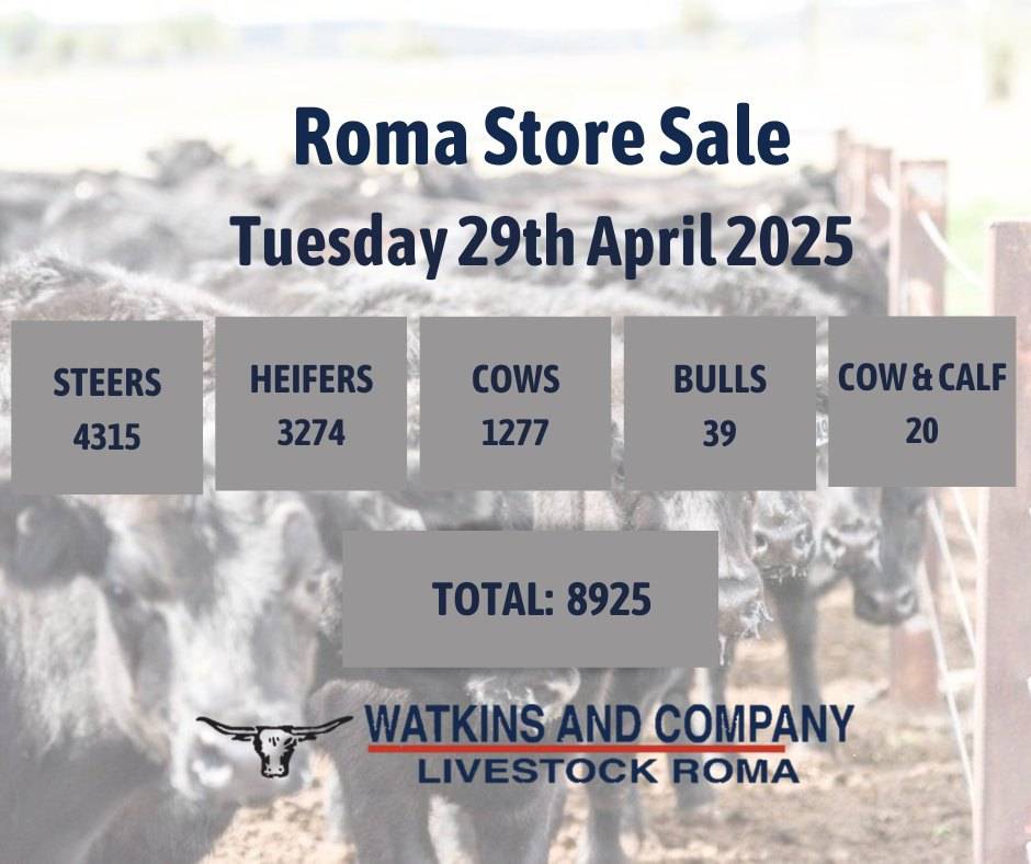 Roma Store Sale 1.jpg