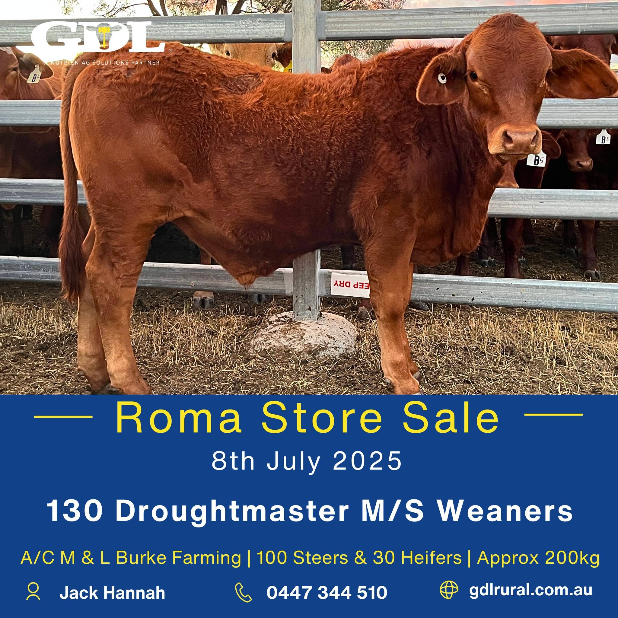 Roma Store Sale.jpg