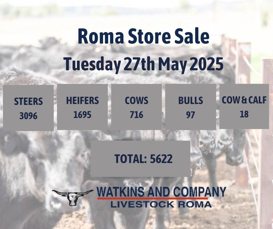 Roma Store Sale.jpg