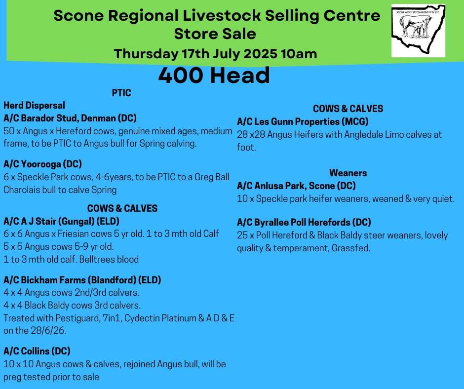 Scone Store Cattle Sale.jpg