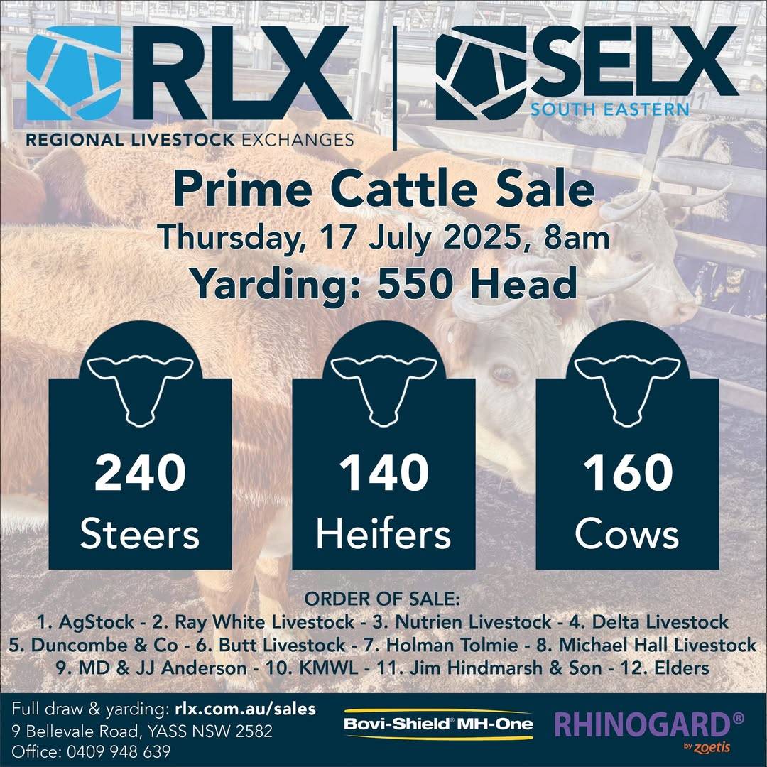 SELX Prime Cattle Sale.jpg