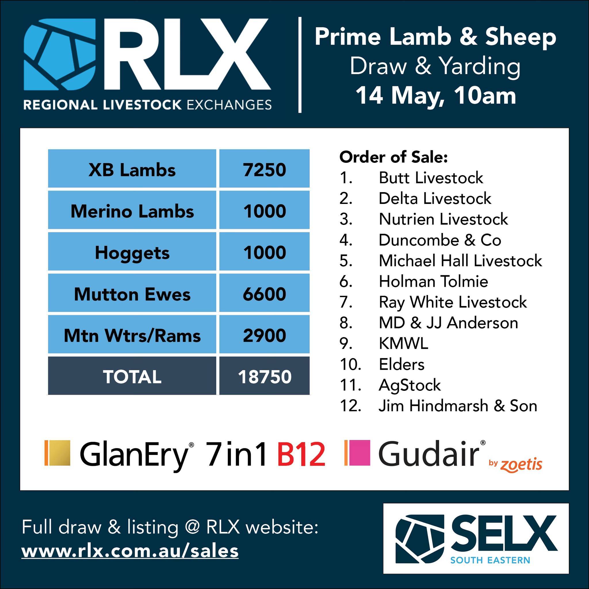 SELX Sheep and Lamb.jpg