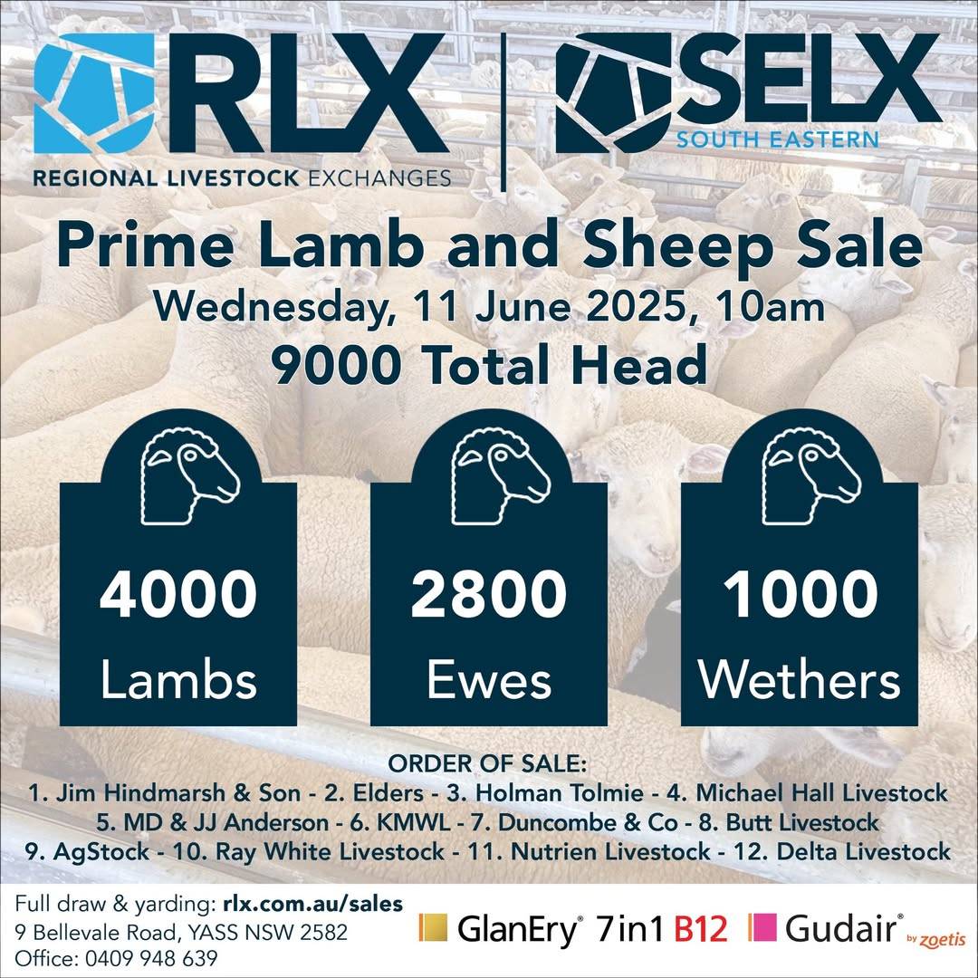 SELX Sheep and Lamb Sale.jpg