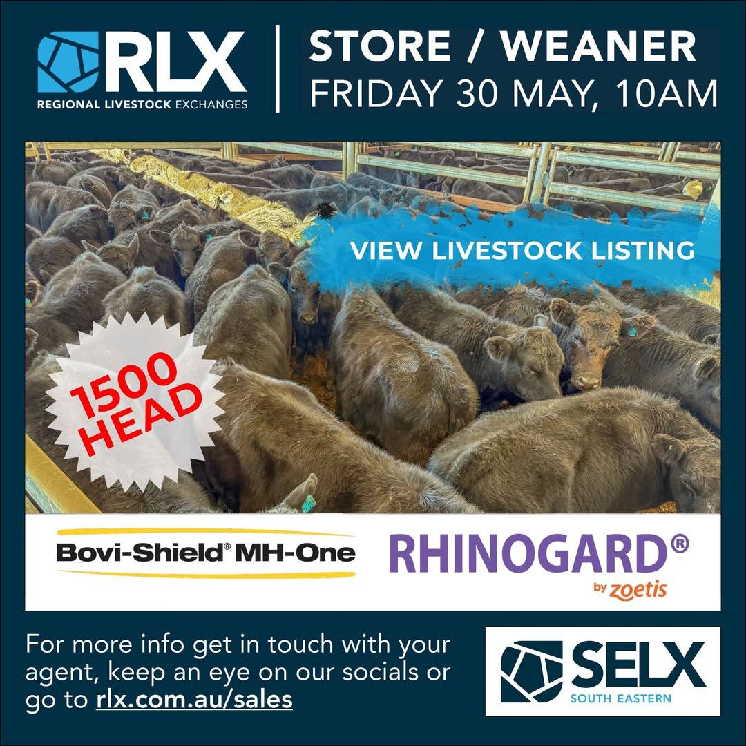 SELX Store & Weaner Sale.jpg