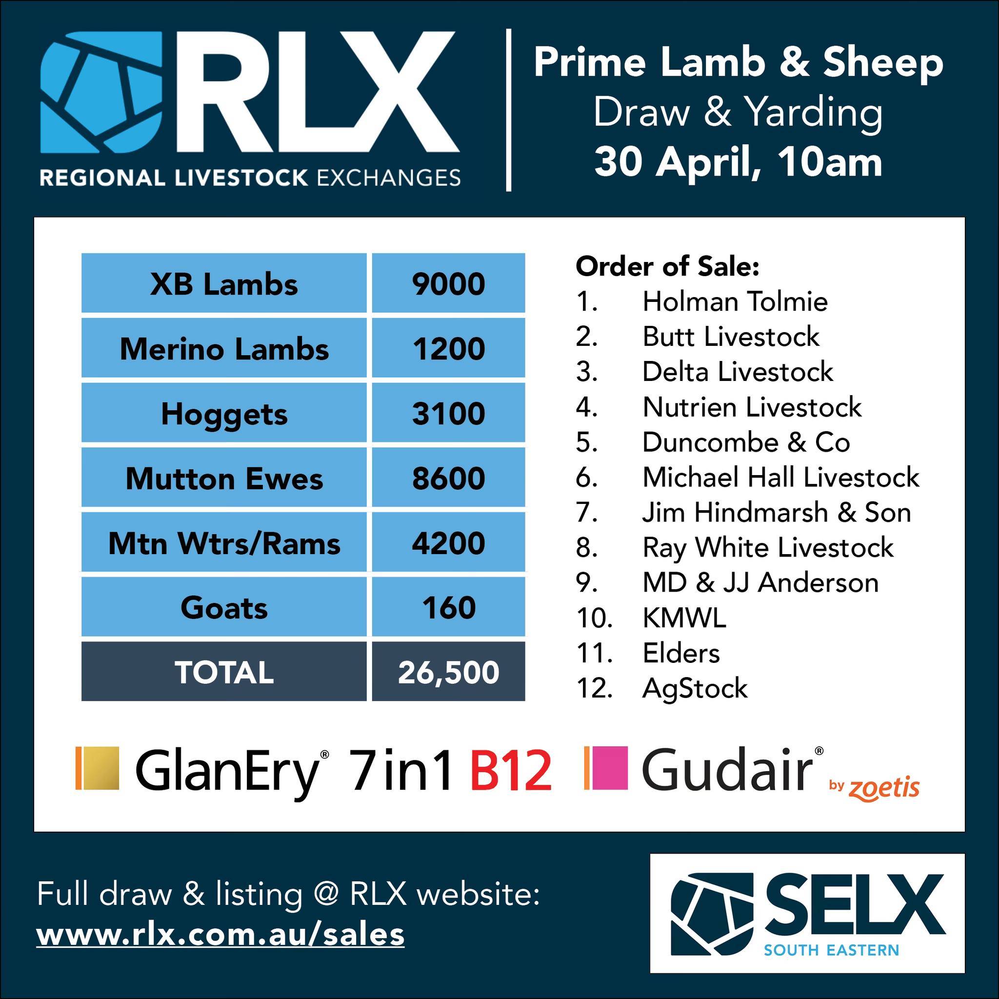 SELX Yass Lamb and sheep sale.jpg
