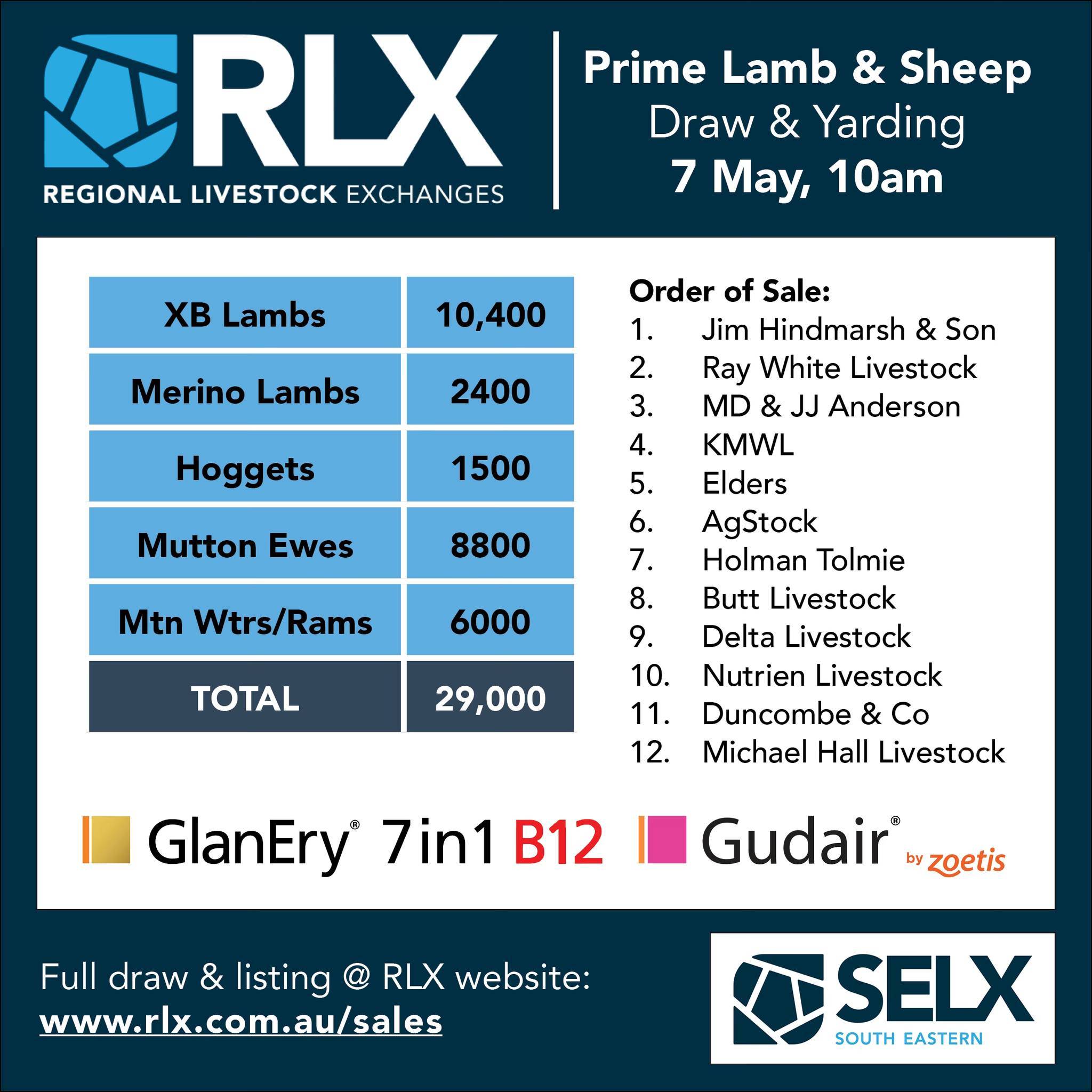 SELX Yass Lamb and Sheep Sale.jpg