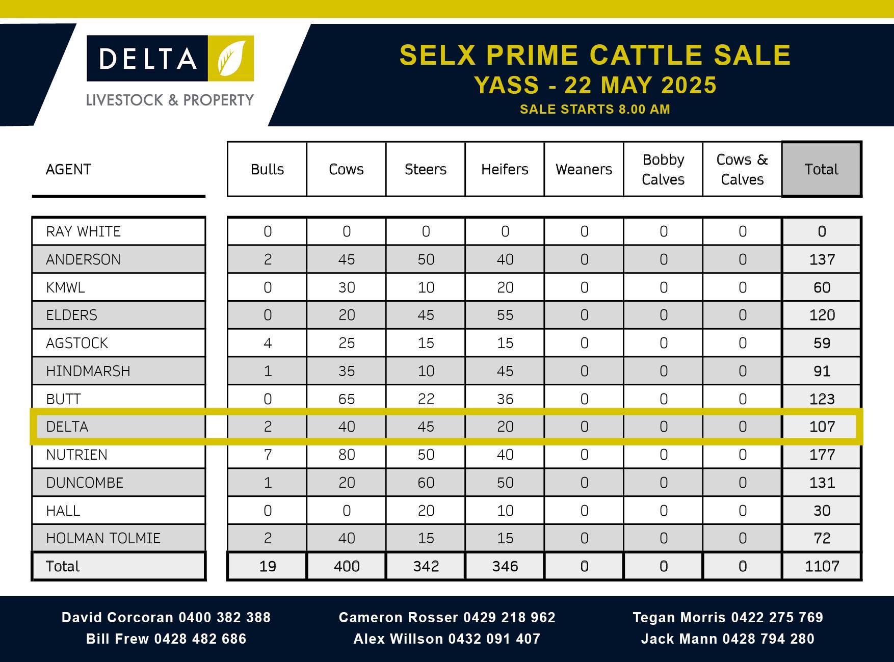 SELX (Yass) Prime Cattle 2.jpg