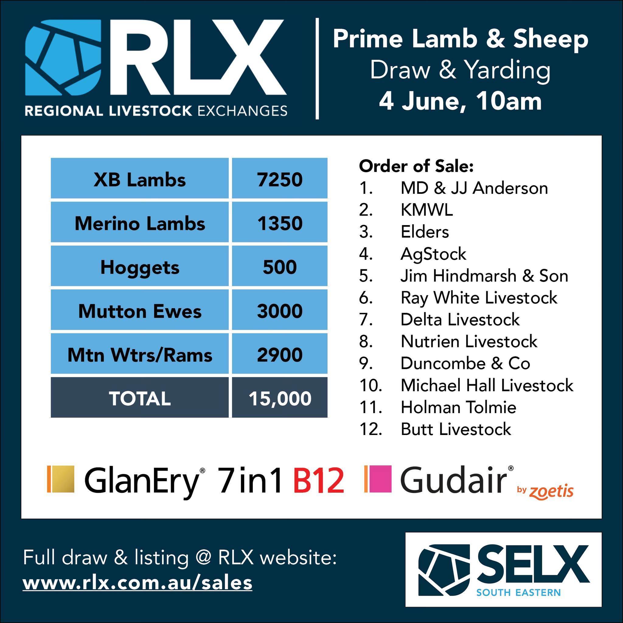 SELX (Yass) Prime Lamb & Sheep Sale.jpg