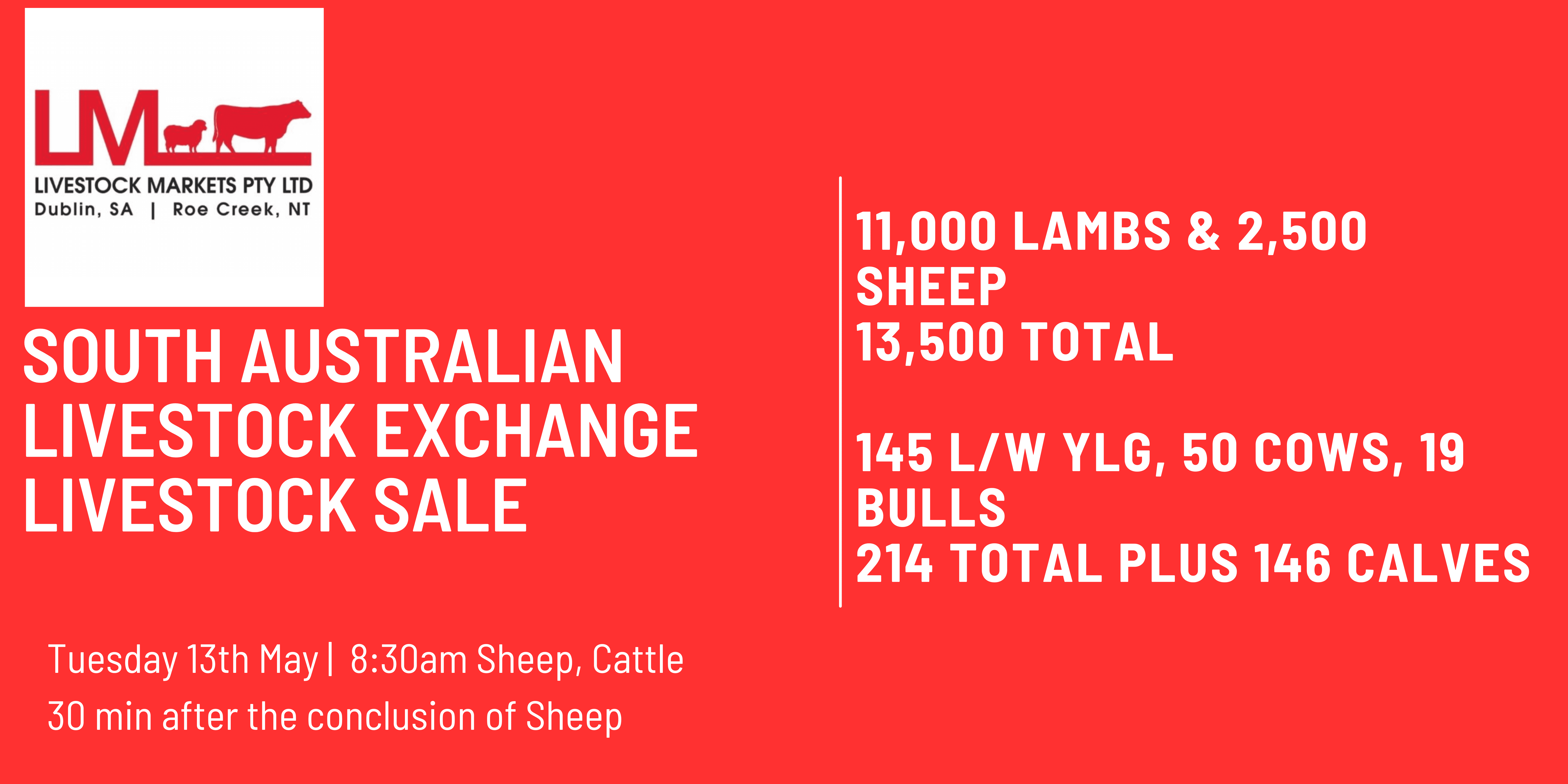 South Australian Livestock Exchange Livestock Sale  (1).png