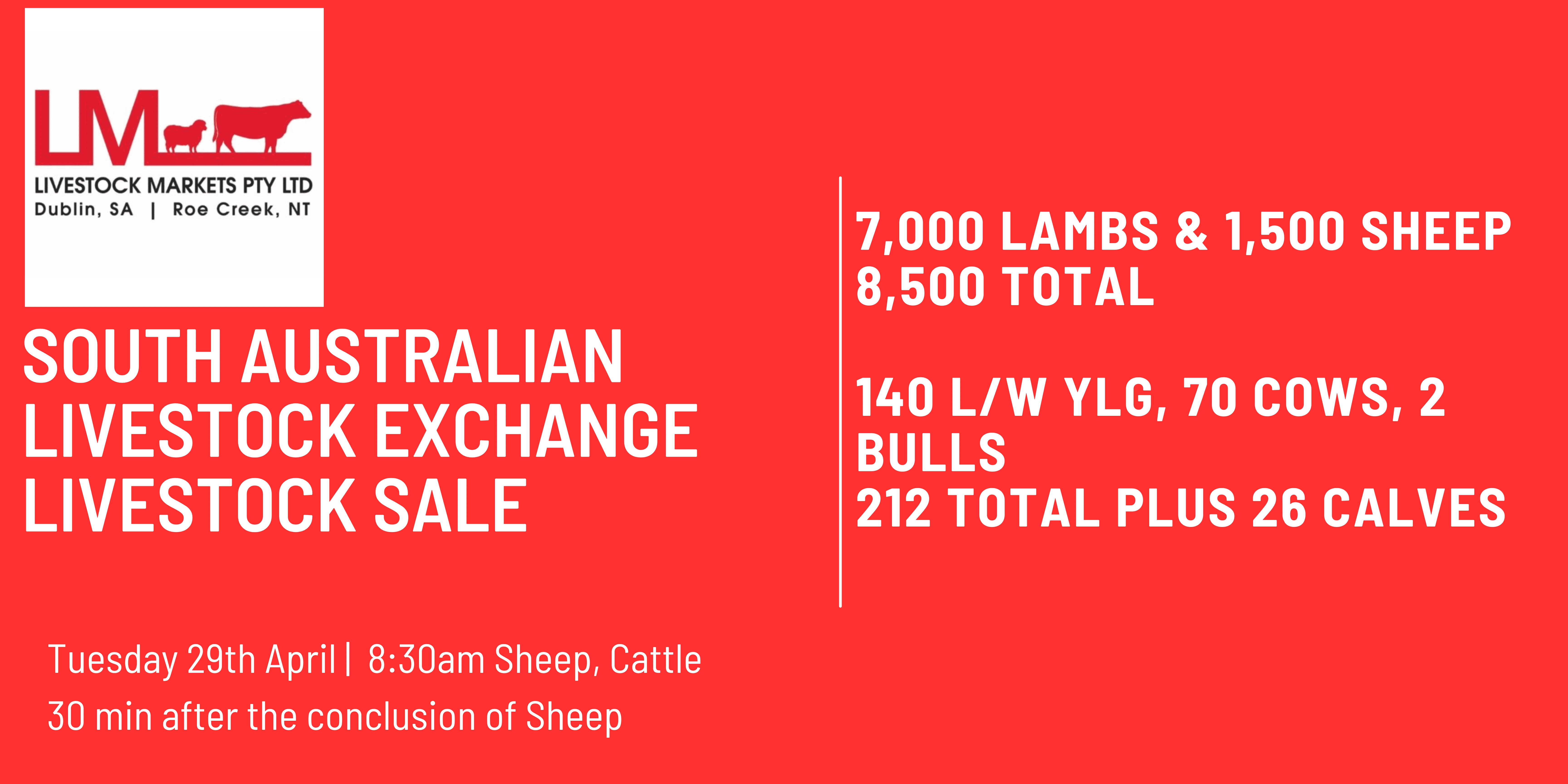 South Australian Livestock Exchange Livestock Sale .png
