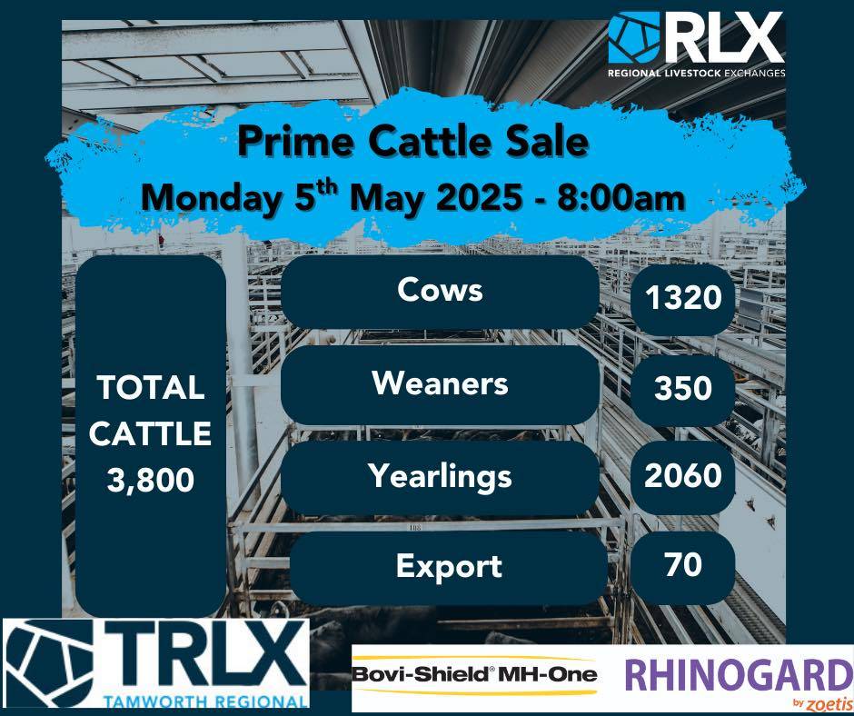 TRLX Prime Cattle Sale.jpg
