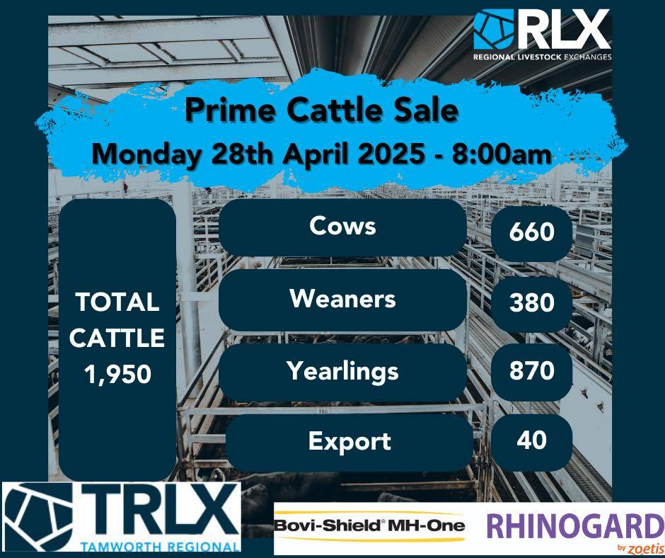 TRLX Prime Sale.jpg