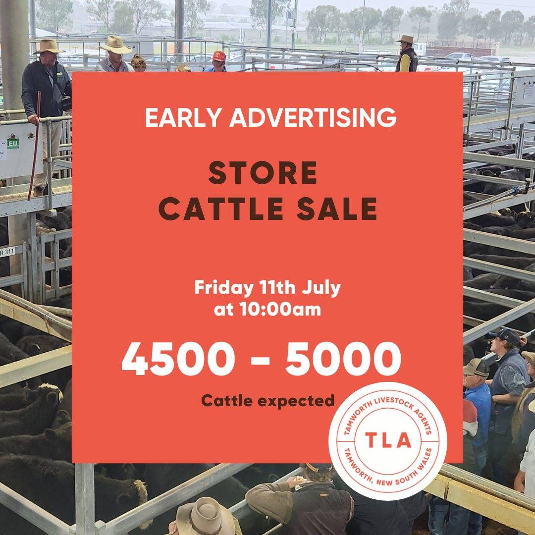 TRLX Store Cattle Sale.jpg