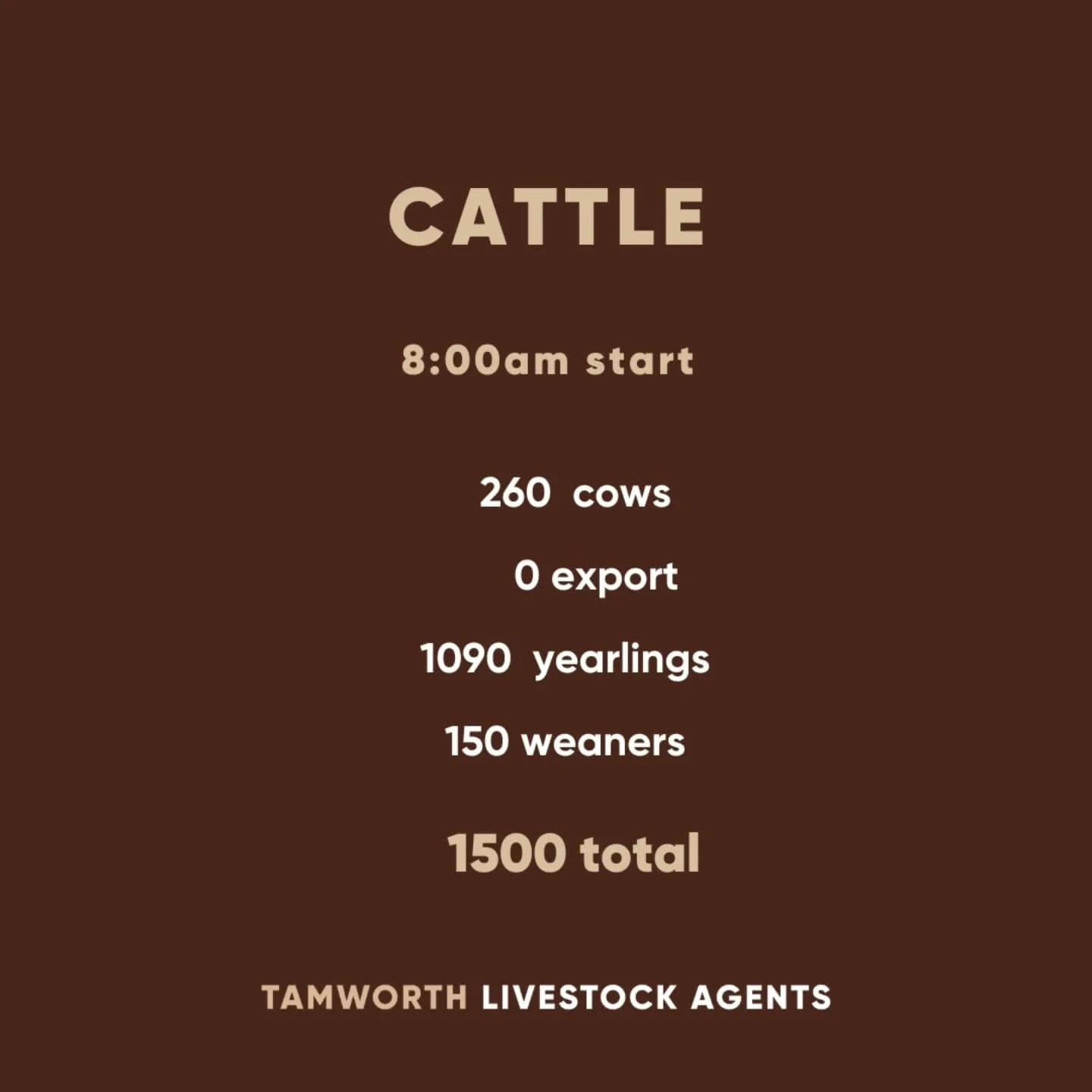 TRLX (Tamworth) Cattle Sale 19 May, 8am. Est 1,500hd.jpeg