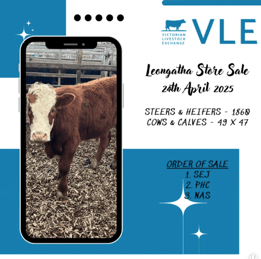 VLE Store Cattle Sale.png
