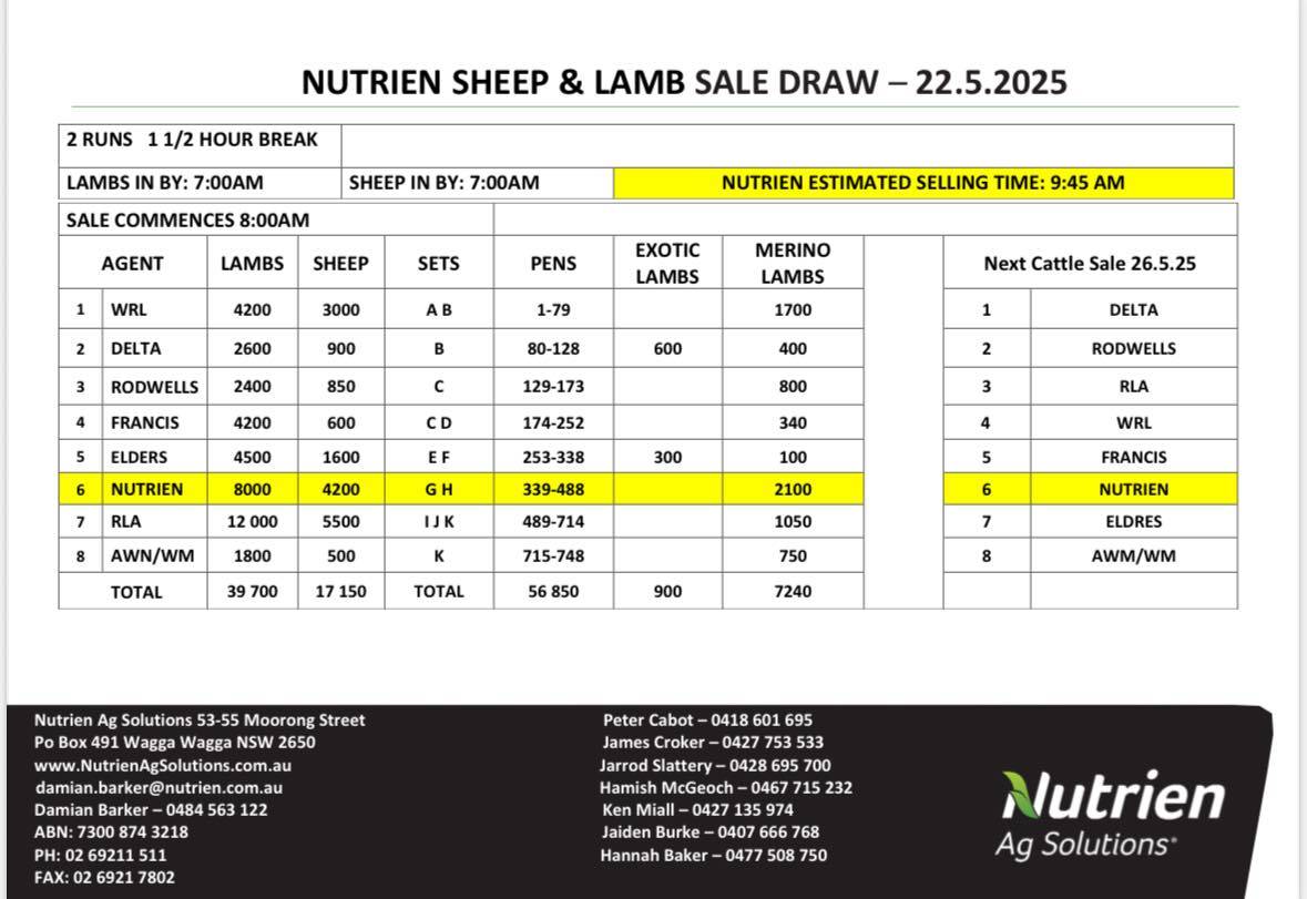 Wagga Sheep and Lamb Sale 5.jpg