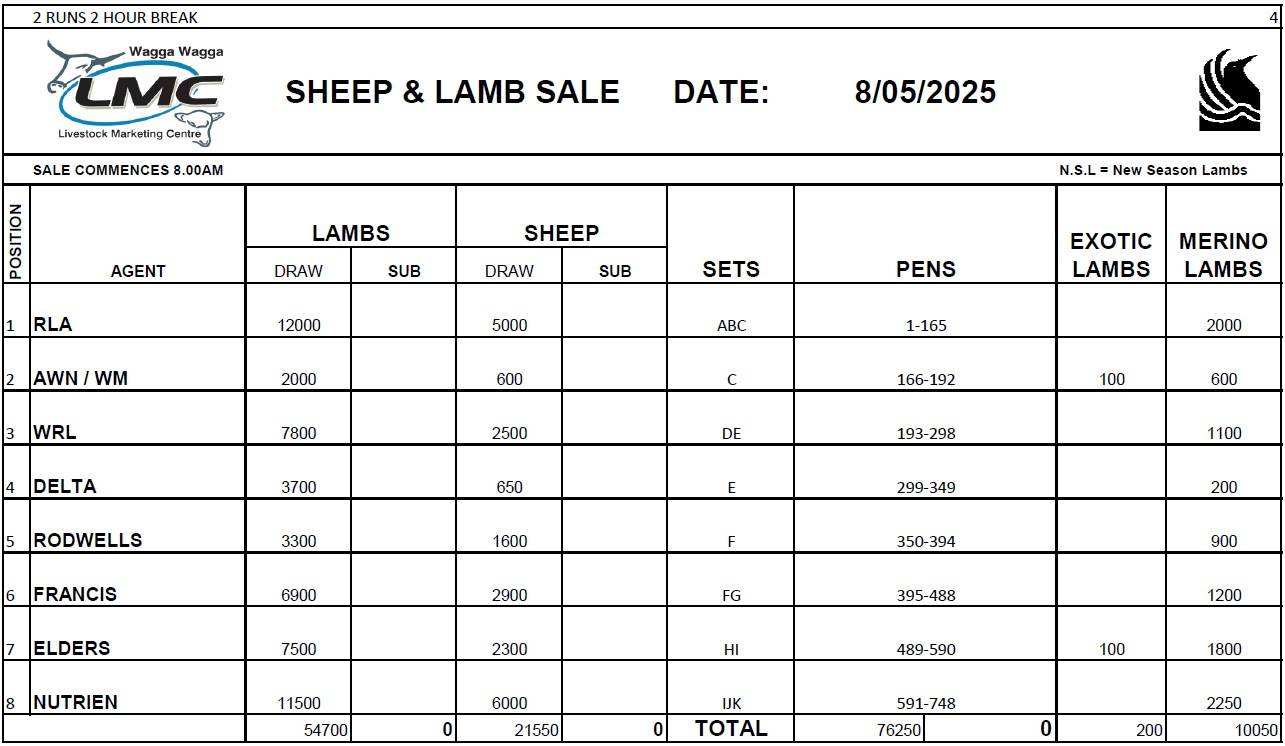 Wagga Sheep & Lamb.jpg