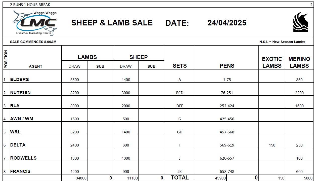 Wagga Sheep Sale.jpg