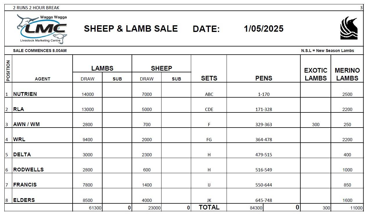 Wagga Sheep Sale.jpg
