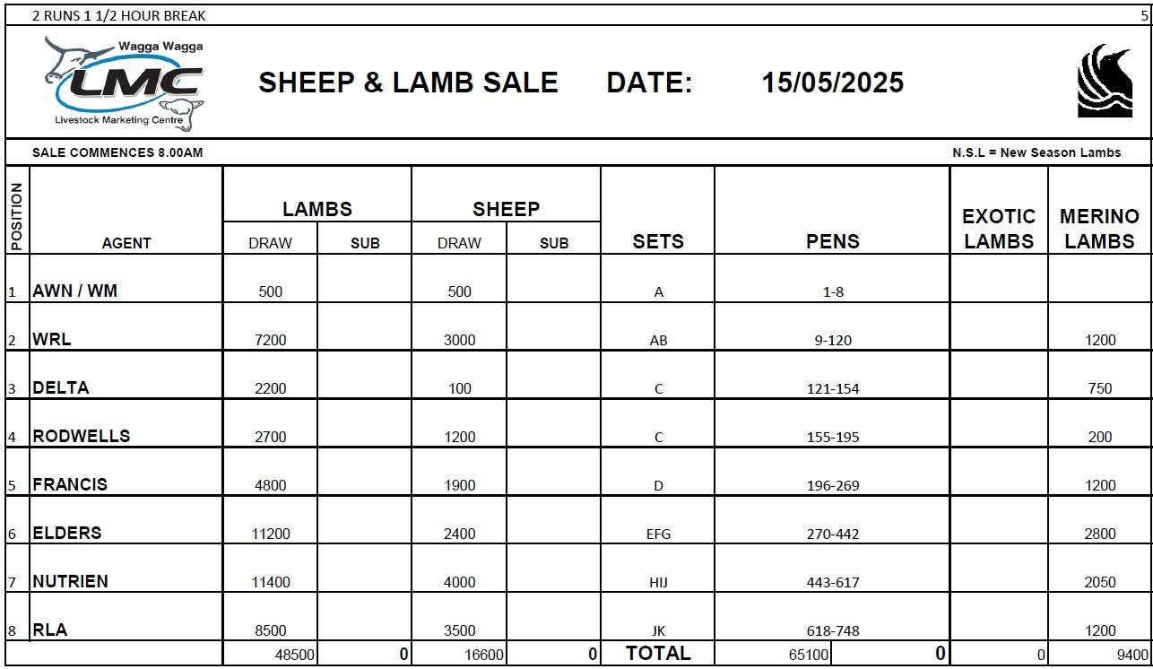 Wagga Sheep Sale.jpg