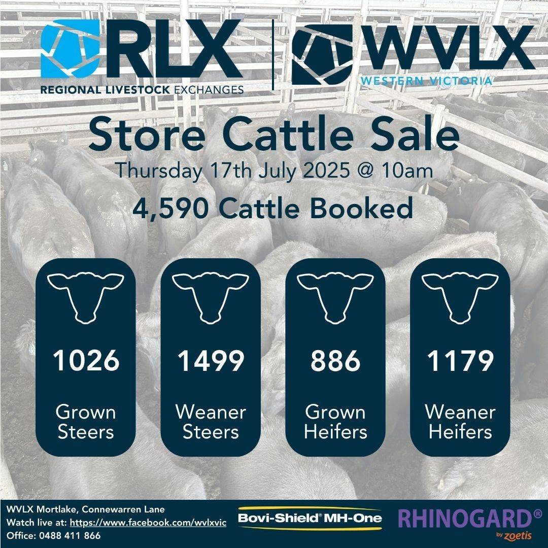 WVLX Mortlake Cattle Sale.jpg