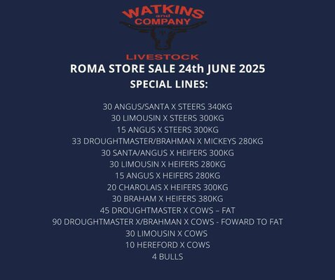 Roma Cattle Sale 3 .jpg