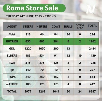 Roma Store Cattle Sale 10.jpg