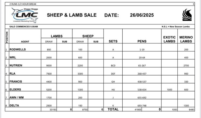 Wagga Sheep & Lamb Sale.jpg