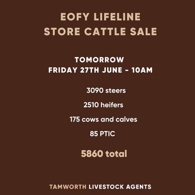 EOFY Lifeline Store Cattle Sale.jpg