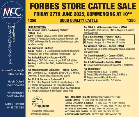 CWLE Forbes Cattle Sale 5.jpg