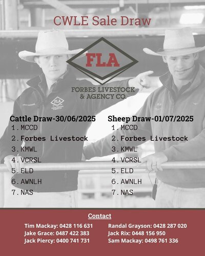 CWLE Forbes Cattle Sale 4.jpg