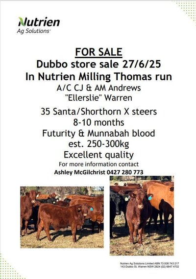 Dubbo Store Sale.jpg