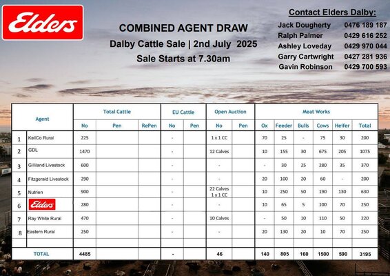 Dalby Cattle Sale 3.jpg